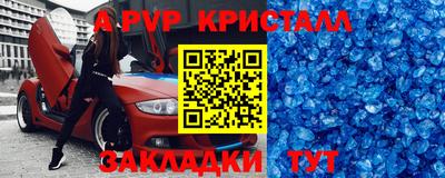 шишки Боровичи