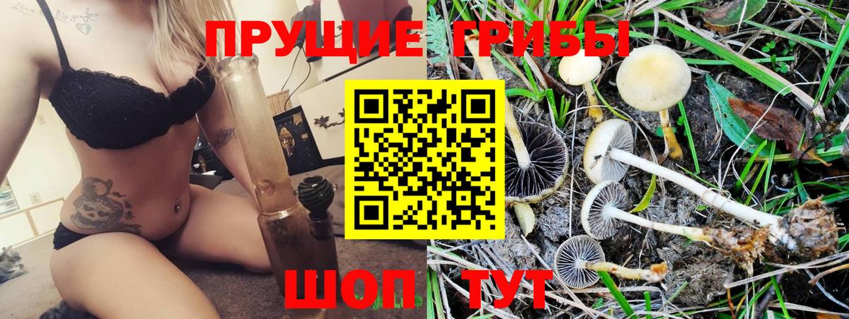 Галлюциногенные грибы ЛСД  Вход с VPN  Кузнецк  Галлюциногенные грибы Psilocybe 