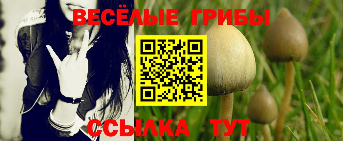Галлюциногенные грибы ЛСД Кузнецк